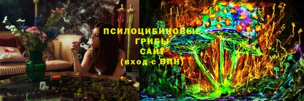 ГАЛЛЮЦИНОГЕННЫЕ ГРИБЫ Абдулино