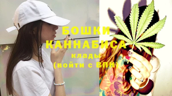 ГАЛЛЮЦИНОГЕННЫЕ ГРИБЫ Абдулино