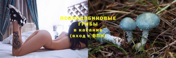крисы Абинск