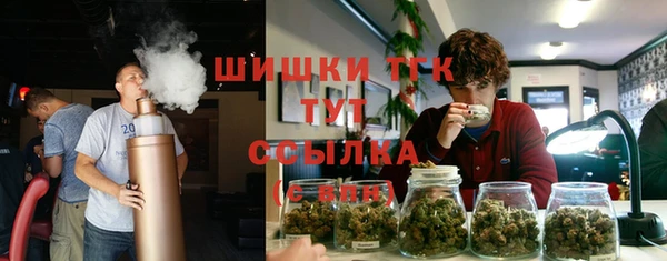 ГАЛЛЮЦИНОГЕННЫЕ ГРИБЫ Абдулино