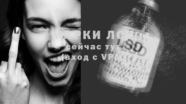 СК Абаза