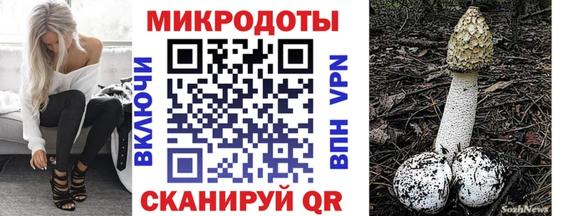 Псилоцибиновые грибы Cubensis  мега сайт  Альметьевск 