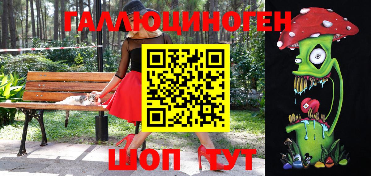 Альметьевск  Псилоцибиновые грибы Psilocybine cubensis  Вход с VPN 